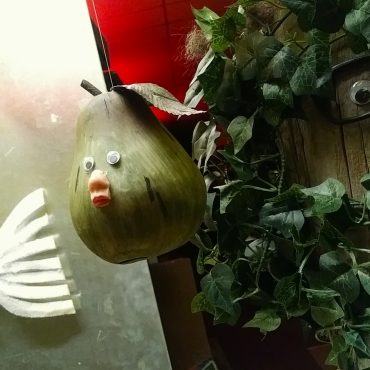 fish and plastic